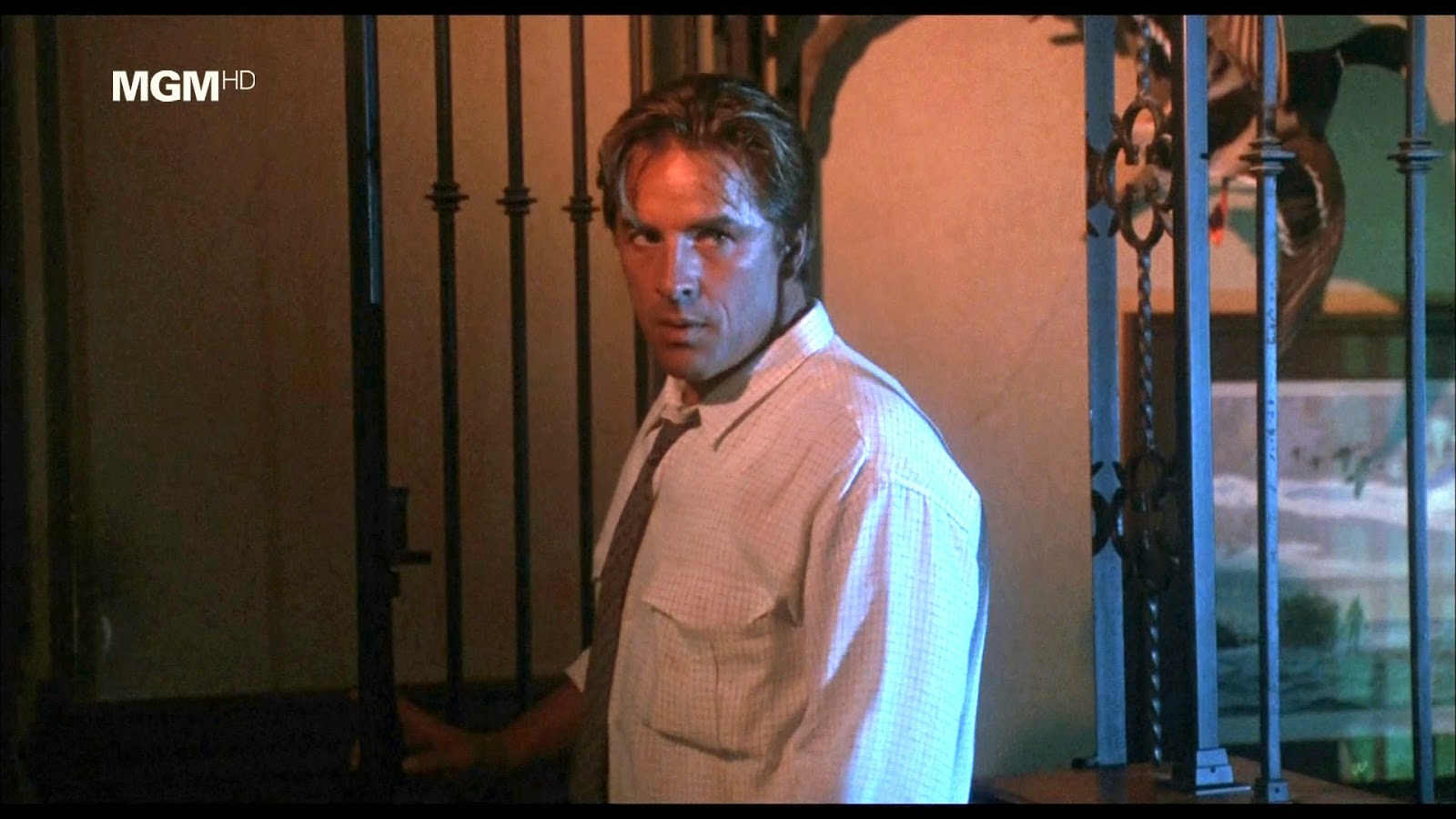 fhd990THS_Don_Johnson_023